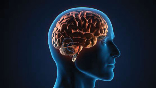 نمطية الإيقاع والتخندق الإدراكي والكسل الذهني 