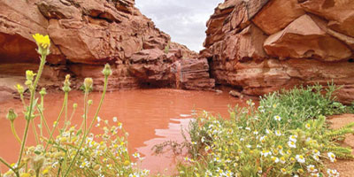 رائحة الماضي لا تمضي! 