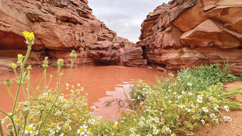 رائحة الماضي لا تمضي! 