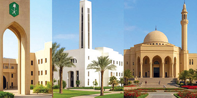 تطوير برامج شراكة بين الجامعات ومنظمات القطاع غير الربحي 