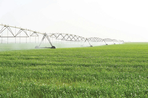 ضمن برنامج إزاحة الوقود السائل 