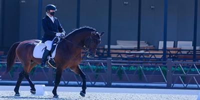 8 بطولات للترويض في موسم اتحاد الفروسية 