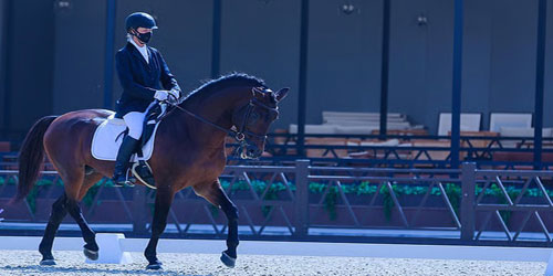 8 بطولات للترويض في موسم اتحاد الفروسية 