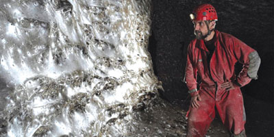 اكتشاف شبكة عملاقة تضم (111) ألف عنكبوت في كهف بين اليونان وألبانيا 