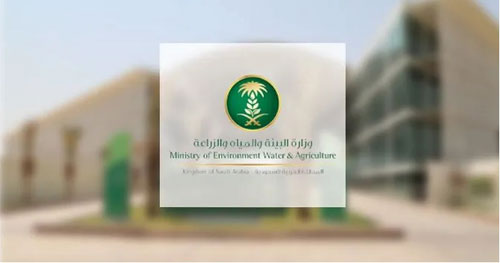 إطلاق حملة «عدسة البيئة» لإبراز التنوع الطبيعي في مناطق المملكة 