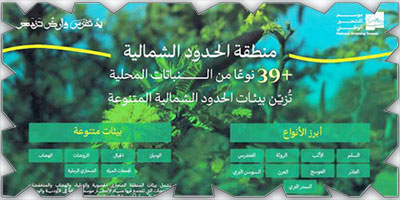 «الحدود الشمالية» تزدهر بانتشار 39 نوعًا من النباتات المحلية الملائمة للتشجير 