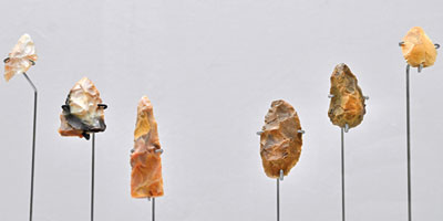 انطلاق المعرض الدوري الثامن لآثار دول الخليج في المتحف الوطني 