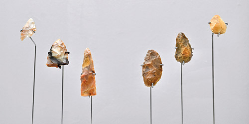 انطلاق المعرض الدوري الثامن لآثار دول الخليج في المتحف الوطني 