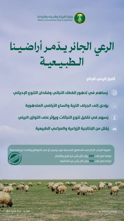 «البيئة» تؤكد أهمية الحد من الرعي الجائر 