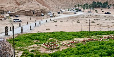 حسو الشثيلات يستقبل 1000 زائر من واحات المذنب 