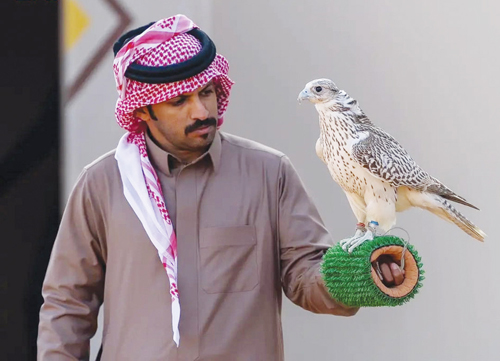 120 صقارًا يدشنون أشواط نخبة المحليين في انطلاق مهرجان الملك عبدالعزيز للصقور 2025 
