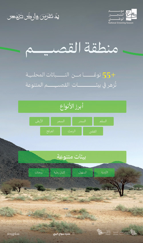 انتشار 55 نوعًا من النباتات المحلية الملائمة للتشجير في القصيم 