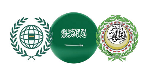 استجابةً لطلب رئيس مجلس القيادة الرئاسي اليمني لبحث الحلول العادلة للقضية الجنوبية 