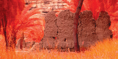 الإعلان عن معرض «أرضنا» في العلا مطلع فبراير 