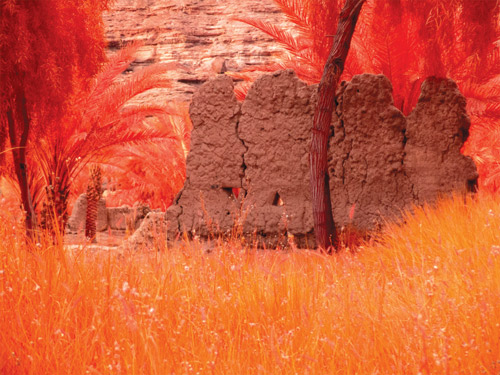 الإعلان عن معرض «أرضنا» في العلا مطلع فبراير 