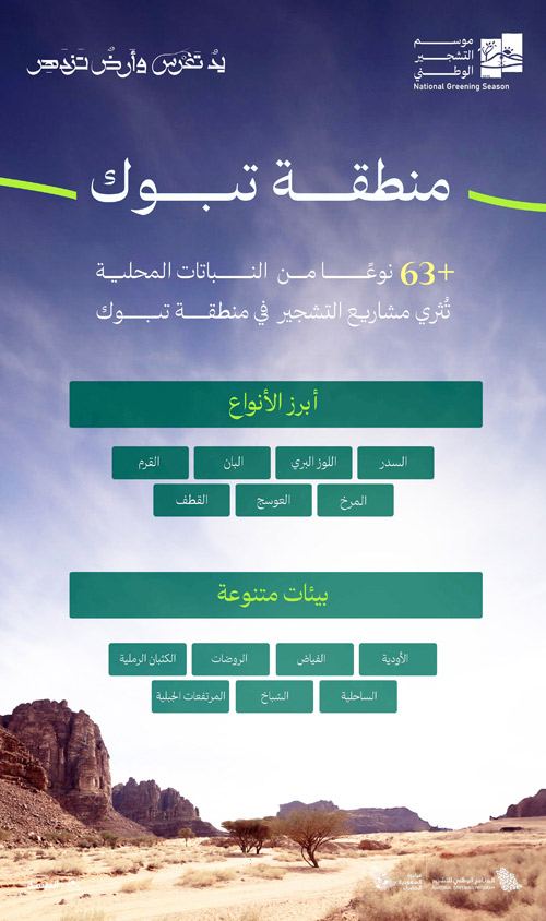 انتشار 63 نوعًا من النباتات المحلية في بيئات تبوك 