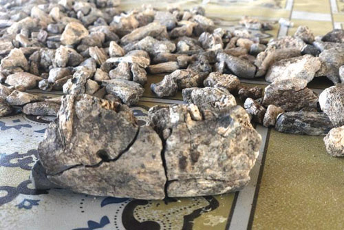 اكتشاف أحفورة عمرها أكثر من مليوني سنة في إثيوبيا 