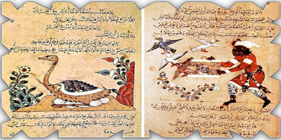 فعلُ الكلمة 