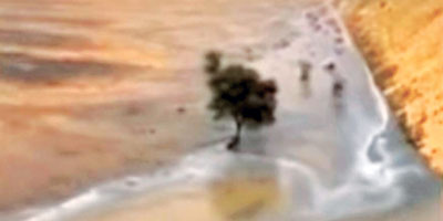 بين طعسٍ وغدران 