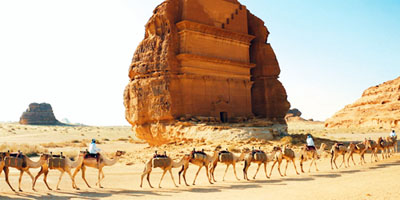 الإبل.. قصة وفاء رافقت الإنسان في ماضيه وحاضره 