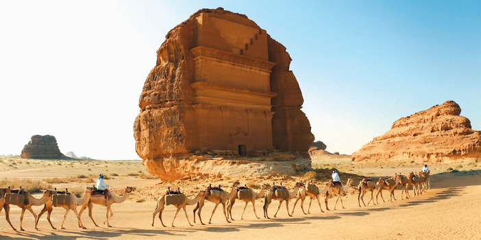 الإبل.. قصة وفاء رافقت الإنسان في ماضيه وحاضره 