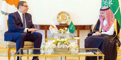 وزير الخارجية ونظيره القبرصي يبحثان مستجدات التصعيد في المنطقة 