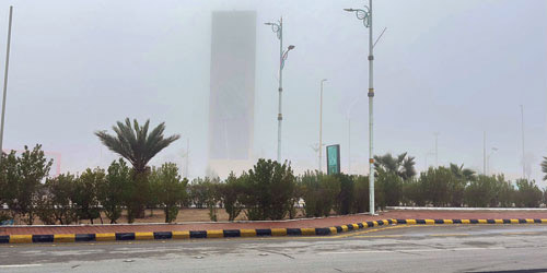 الضباب يغطي أجزاء واسعة من محافظة طريف 