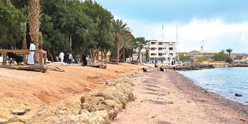 «متنزه النخيل» بحقل واحة غناء تستقطب الزائرين 