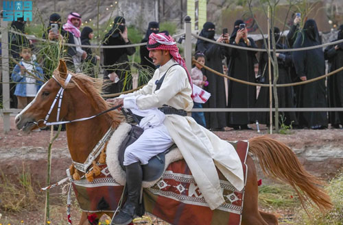 فرسان حائل يقيمون فعالية استعراضية 