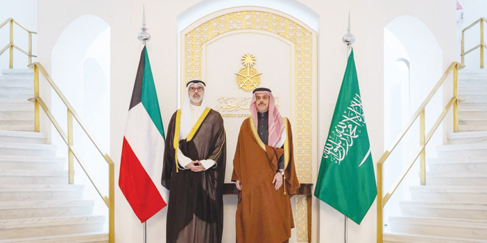 وزير الخارجية بحث مع غوتيريش تطورات الأوضاع في المنطقة