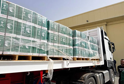 وصول الطائرة السعودية الـ«83» لإغاثة الشعب الفلسطيني في غزة