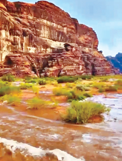 تبوك ترتدي ثوبها الأخضر وتكشف سحر رمالها الحمراء