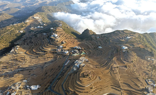 مزارعو عسير يستعدون لزراعة محاصيل الربيع 