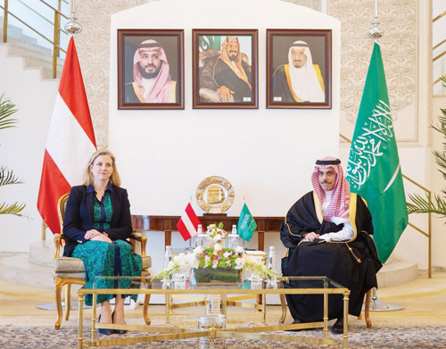 وزير الخارجية يبحث مع نظيرته في النمسا مستجدات الأوضاع في المنطقة 