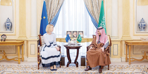  وزير الخارجية مستقبلا  الممثلة العليا للاتحاد الأوروبي