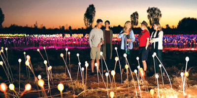 «Field of Light» يجذب مئات الآلاف من الزوار 