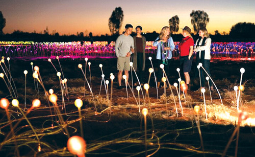 «Field of Light» يجذب مئات الآلاف من الزوار 