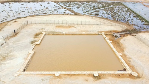 امتلاء «بركة الجميما» يُحيي إرث درب زبيدة 