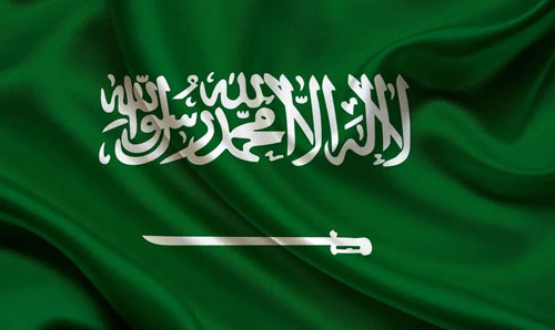 المملكة عضواً في اللجنة الأممية لتسخير العلم والتقنية لأغراض التنمية