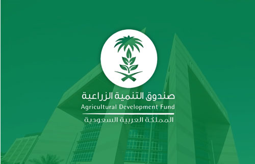 صندوق التنمية الزراعية يصدر تقريره لعام 2025 