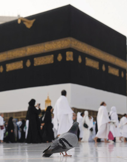 وجوهٌ نحو الكعبة… وقلوبٌ نحو الرحمن 