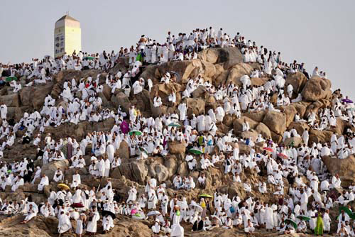 يوم الحج الأكبر.. جبل الرحمة يرسم ملحمة الدعاء والخشوع 