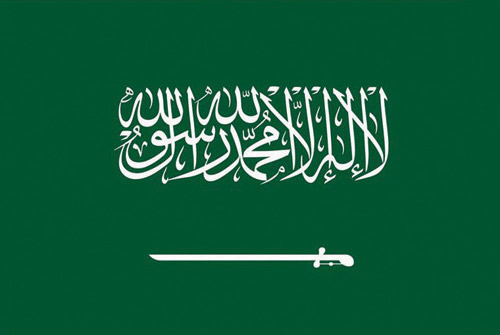 المملكة تؤكّد أهمية تعزيز التعاون الدولي لمكافحة الاتجار غير المشروع بالأسلحة 