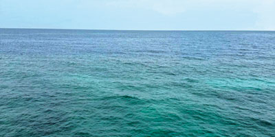 صورة ومعنى 