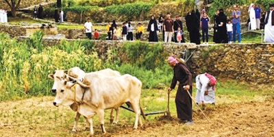 مهرجان الأطاولة التراثي  يعيد قراءة التاريخ بوصفه مشروعًا للمستقبل 