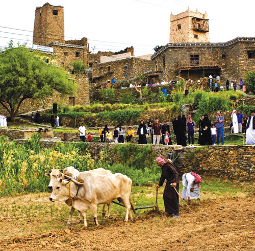 من برامج المهرجان