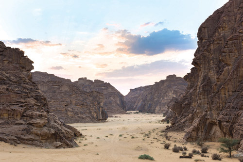 طبيعة العُلا.. مصدر إلهام متجدد للشعراء عبر القرون
