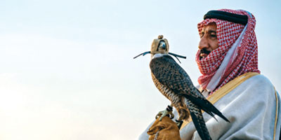 من ذاكرة الآباء إلى منصة العالم.. 23 % نموًا في مبيعات المزاد الدولي لمزارع إنتاج الصقور 