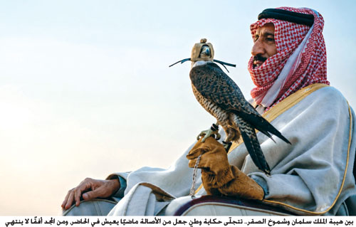 الصقور.. حين يتحول الموروث السعودي إلى لغة عالمية 