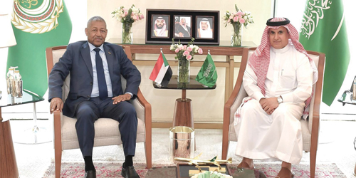 مندوب المملكة بالجامعة العربية يلتقي السفير السوداني في مصر 